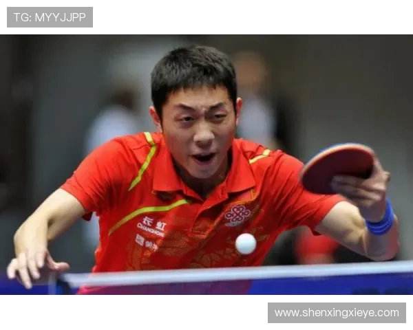 乒乓球运动的历史发展与技术演变探析从基础到竞技的全面解读