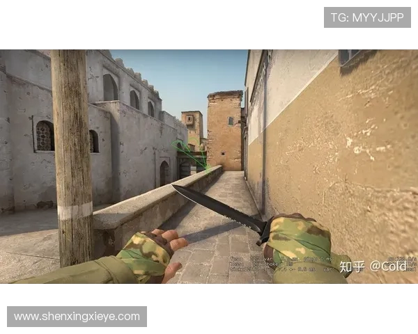 CSGO战术解析V5战队防守体系的独特策略与实施细节