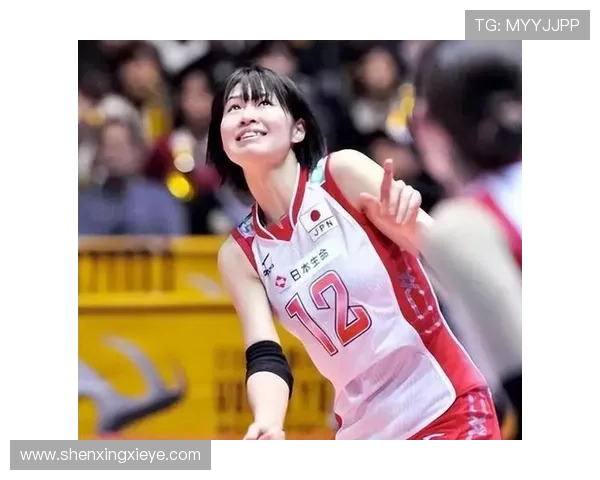 上海排球队状态分析与未来展望聚焦排球运动发展趋势