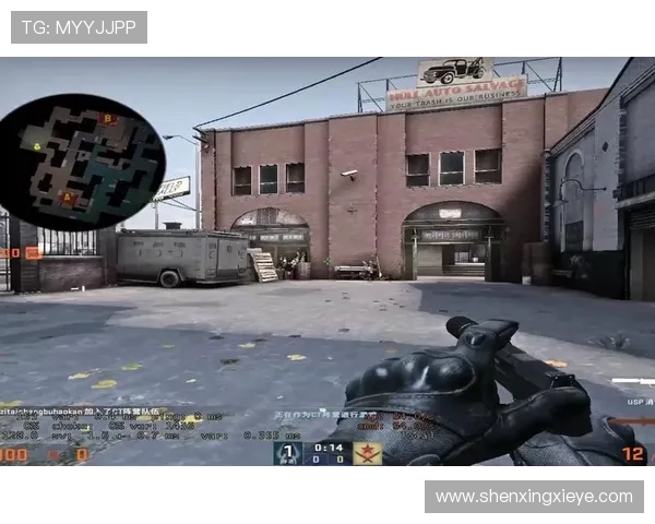 张丽专访：从新手到高手的CSGO成长之路与心路历程分享