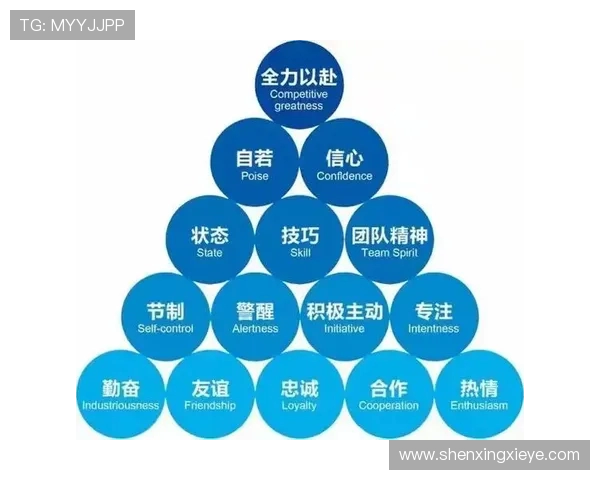 杭州篮球队防反体系解析：高效战术与团队协作的完美结合