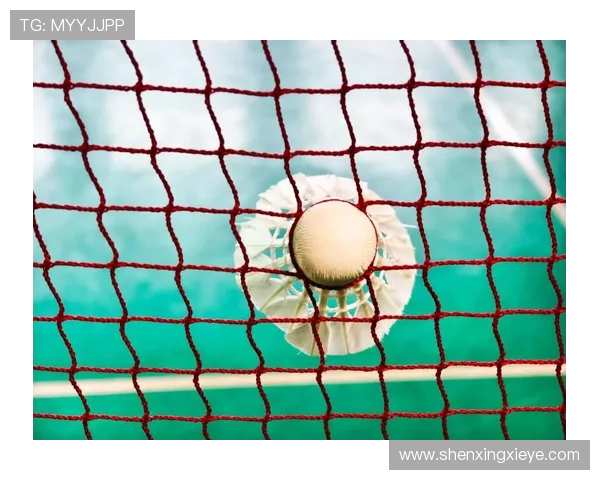 武汉羽毛球队的崛起与发展探索聚焦羽毛球运动的力量与未来 武汉羽毛球队的崛起与发展探索聚焦羽毛球运动的力量与未来