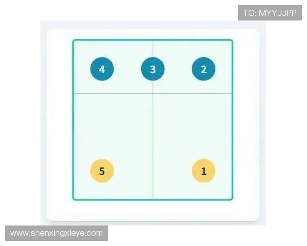 深入分析北京排球队控制打法的战术特点与实践应用 深入分析北京排球队控制打法的战术特点与实践应用