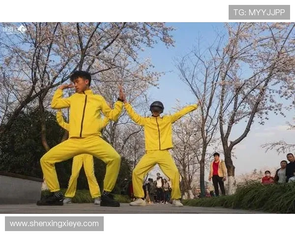 街舞战术解析：上海街舞队如何构建高效阵地战体系