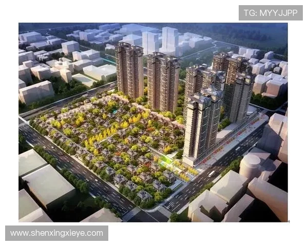 重磅专题：探索成都排球队在战术控制上的创新与突破之路