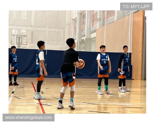 以篮球为纽带探索团队合作与青春激情在赛场上的完美融合