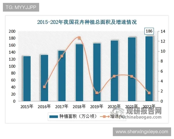 天猫与梦想比分直播的全面对比分析与未来发展趋势探讨